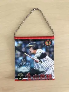大山悠輔 ミニタペストリー