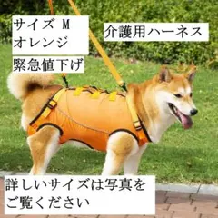 Item thumbnail for item d9f19bda-7b5d-4b7c-9a82-c074fbd66f98