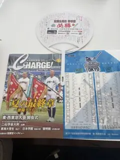 全国高等学校野球選手権大会 東京大会 クリアファイルとうちわと冊子