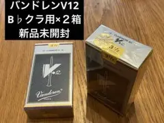 Item thumbnail for item 138b8503-280b-4e41-a3fb-6cea34129e8b