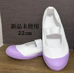 上履き　22.0センチ