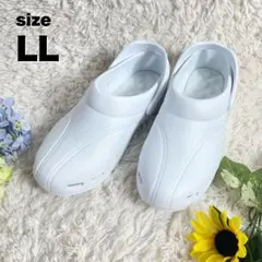 Item thumbnail for item 328a0484-f307-44c9-b6e8-5fe72061815c