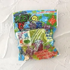 〈新品未使用〉カエルのぴょんた　プラスチック　知育　かえる　1袋