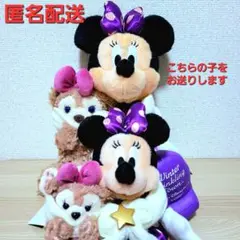 ウィンタートゥインクリングタウン ミニーu0026シェリーメイ ぬいぐるみぬいばセット