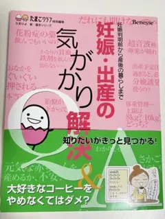 妊娠・出産の気がかり解決Q&A たまひよ　たまごクラブ　ベネッセ　本