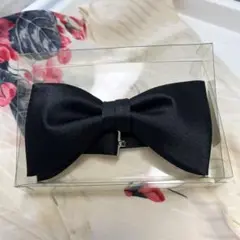 Item thumbnail for item 18a9c218-9b16-46a8-8290-1c657b06d03e