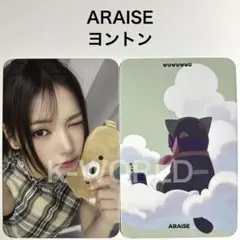 Say My Name Is… ARAISE ヨントン