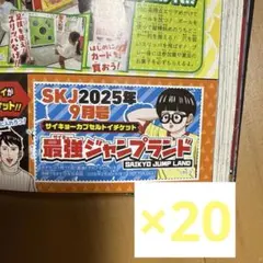 最強ジャンプランド　サイキョーカプセルトイチケット　20枚　最強ジャンプ9月号