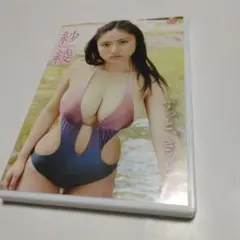 紗綾 DVD すっと、きっと。