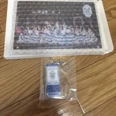 6回目のひな誕祭■特典2種■キーホルダー &フォトアクリルプレート■日向坂46
