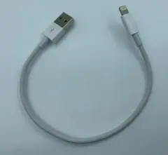 iPhone 20cm充電ケーブル データ 転送 3本set