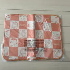 Item thumbnail for item 8db1ddcd-8e62-4779-a271-94a5ddfd957f