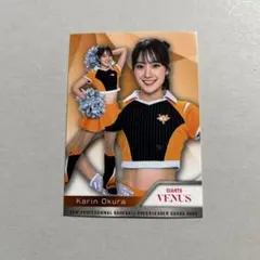 Item thumbnail for item 64c22f34-b7a5-4546-84f4-27b449bbdb27