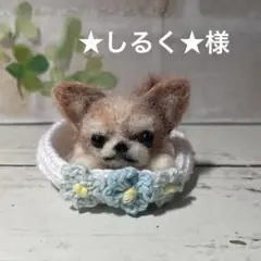 ★しるく★様♡チワワちゃん