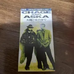 CHAGE&ASKA 太陽と埃の中で　チャゲアス