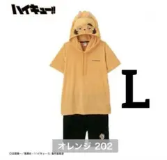 Item thumbnail for item ca8e11cb-5cb4-4567-abb6-0d2d67f25b36
