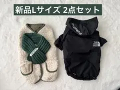 Item thumbnail for item 163cd147-707d-4785-aa04-79d052ef35fb