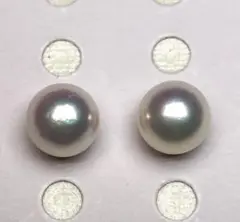 X2108 大珠あこや真珠天女級片穴9.04mm