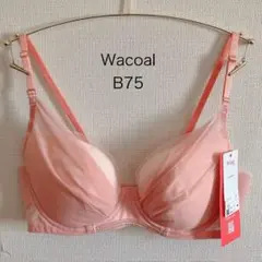 Item thumbnail for item 29b2d349-ac74-40c3-9a27-844b606099a5