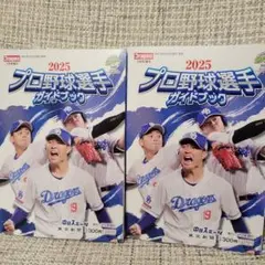 2025プロ野球選手名鑑　２冊400円
