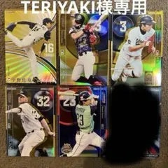 Item thumbnail for item a2ad2571-8bea-45ea-9685-80b6bc40b15b