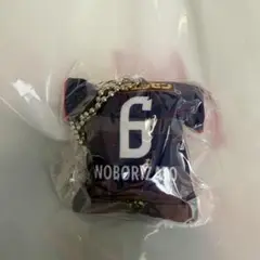 セレッソ大阪 ガチャ クッションキーホルダー　リミテッドユニフォーム 登里享平