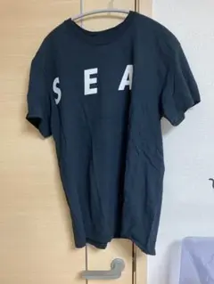 WINDANDSEA