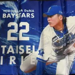 【即購入◎】横浜DeNAベイスターズ 入江大生 ピカチュウタオル/ タオル 横浜DeNAベイスターズ ポケモン タオル ピカチュウ 入江大生