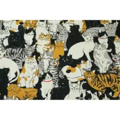 ねこ大集合柄 オックス 生地 長50cm×巾110cm