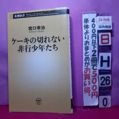 ケーキの切れない非行少年たち　宮口幸治　新潮新書