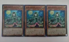 遊戯王 森羅の姫芽君 スプラウト スーパーレア 3枚