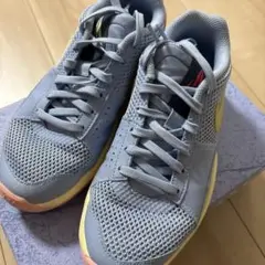 Ja1 NIKEバスケットボール　23.5㎝