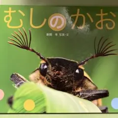むしのかお 新関孝