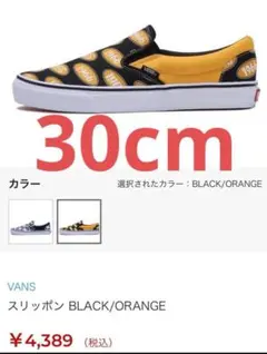 Item thumbnail for item e6a3d1c0-af36-4262-9d1e-83b75338bca5