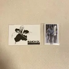 BLEACH BLEACH原画展 日番谷冬獅郎 ブロマイドu0026シールセット