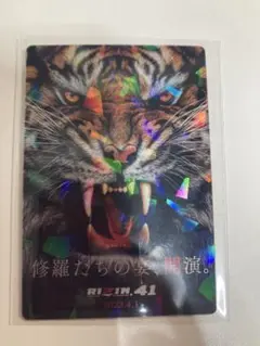 値下げ可　新品　RIZIN ポテトスティック ポスターカード No.19