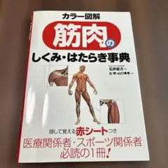 カラー図解筋肉のしくみ・はたらき事典