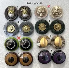 ボタンカボション250③ 12/2