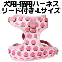 Item thumbnail for item 3b3edd3c-7ce9-4e44-b1db-6d4198efbd42