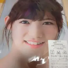岡田奈々　元AKB48 両面抱き枕カバー90cm×45cm 新品未使用
