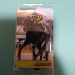 まねき馬　2629　ミュージアムマイル　Ｃデムーロ