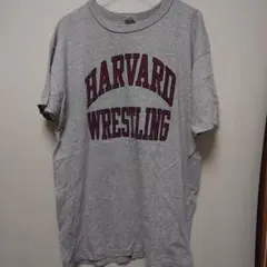 80s champion 8812 Tシャツ 染み込みグレー XL