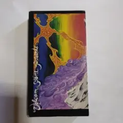 1994 VOLCOM作　The Garden VHS テープ