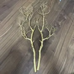 ブランチツリー