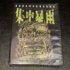 コドモドラゴン「集中暴雨」DVD 新品未開封