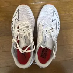 ウェーブリベリオンフラッシュ2 25.5