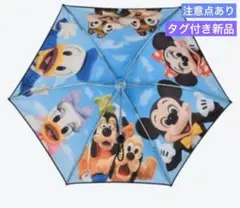 Item thumbnail for item ae312264-fdc9-445e-a978-b09351ceda87