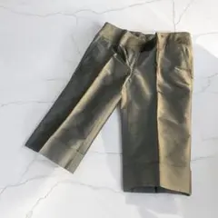 INCOTEX インコテックス　ハーフパンツ ショートパンツ 光沢　シルク混　M