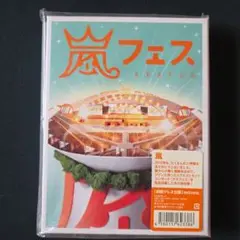 嵐フェス ARAFES 2012 初回プレス仕様 2枚組DVD
