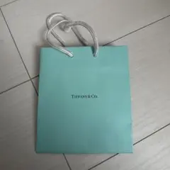 Item thumbnail for item 83fd2b54-f233-466b-9230-7f7c2c5febbd